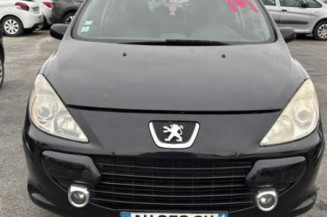 Vase de lave glace PEUGEOT 307