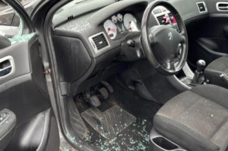 Vase de lave glace PEUGEOT 307