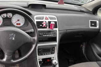 Vase de lave glace PEUGEOT 307