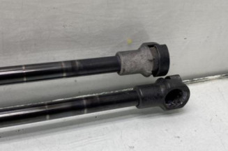 Verin de lunette arriere PEUGEOT 206