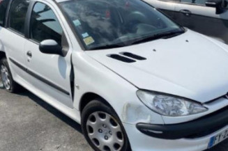 Verin de lunette arriere PEUGEOT 206