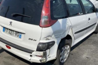 Verin de lunette arriere PEUGEOT 206