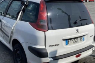 Verin de lunette arriere PEUGEOT 206