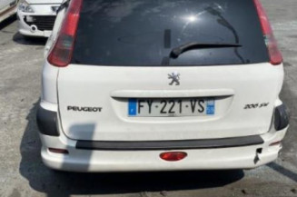 Verin de lunette arriere PEUGEOT 206