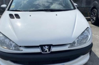 Verin de lunette arriere PEUGEOT 206