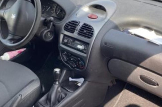 Verin de lunette arriere PEUGEOT 206