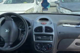 Verin de lunette arriere PEUGEOT 206