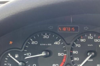 Verin de lunette arriere PEUGEOT 206