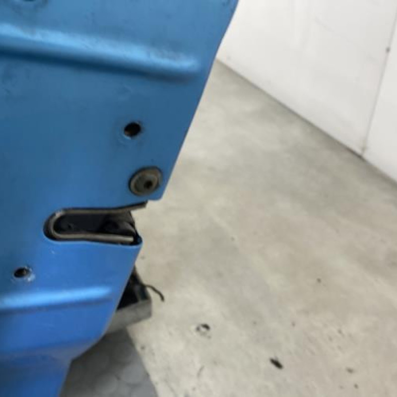 Porte avant gauche MINI MINI 1 R50/R53 Photo n°5