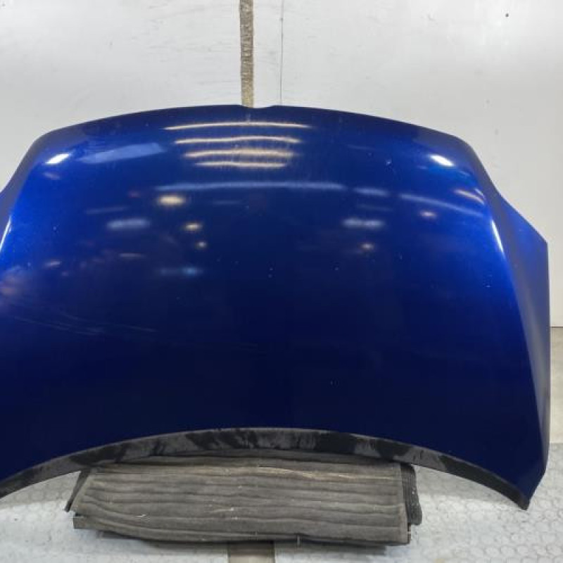 Capot VOLKSWAGEN GOLF PLUS Photo n°1