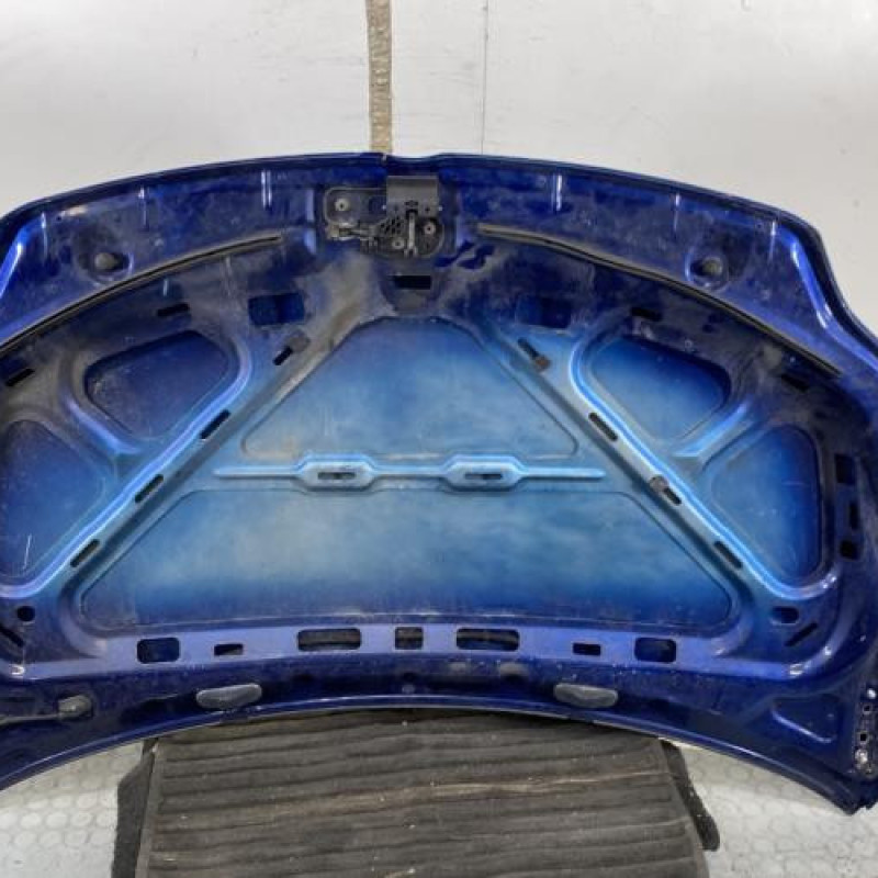 Capot VOLKSWAGEN GOLF PLUS Photo n°9