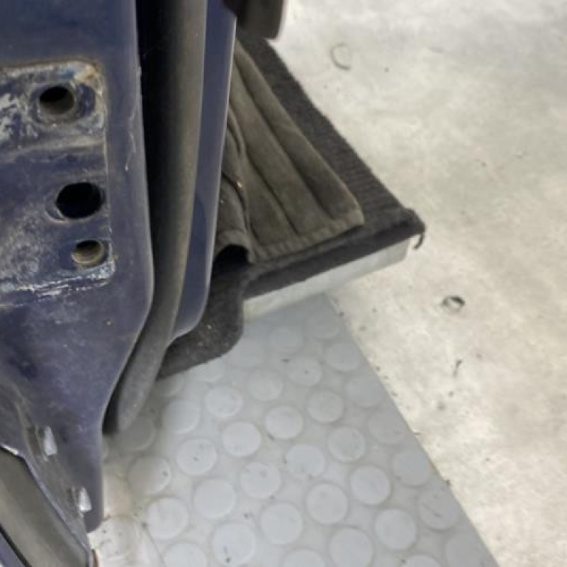 Porte avant droit VOLKSWAGEN GOLF PLUS Photo n°5