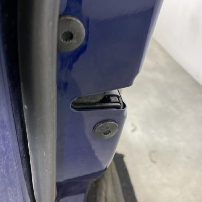 Porte avant gauche VOLKSWAGEN GOLF PLUS Photo n°4