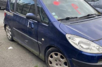 Calandre PEUGEOT 1007
