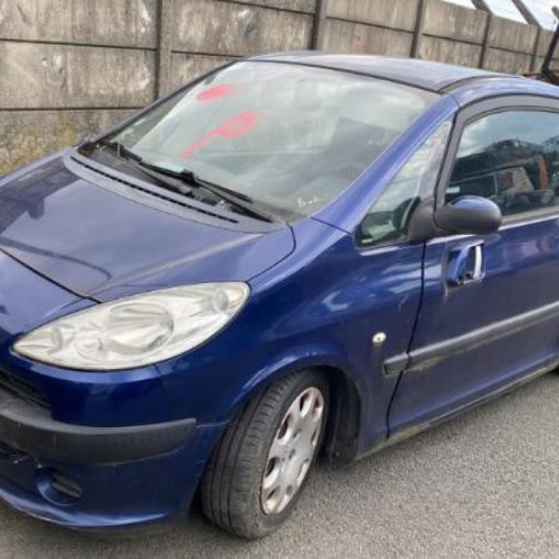 Calandre PEUGEOT 1007 Photo n°7