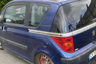 Calandre PEUGEOT 1007