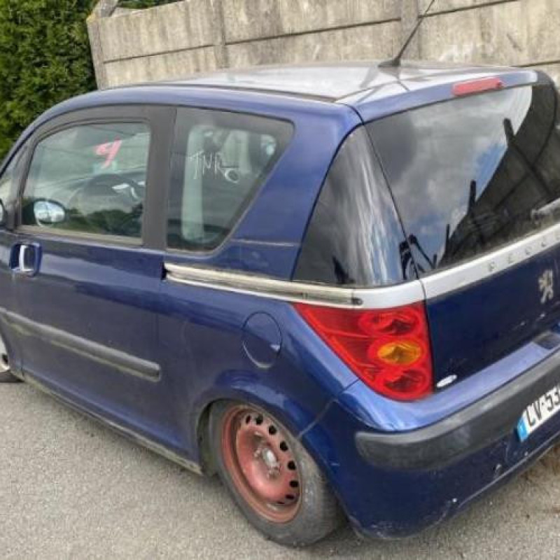 Calandre PEUGEOT 1007 Photo n°8