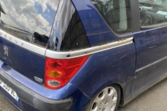 Calandre PEUGEOT 1007