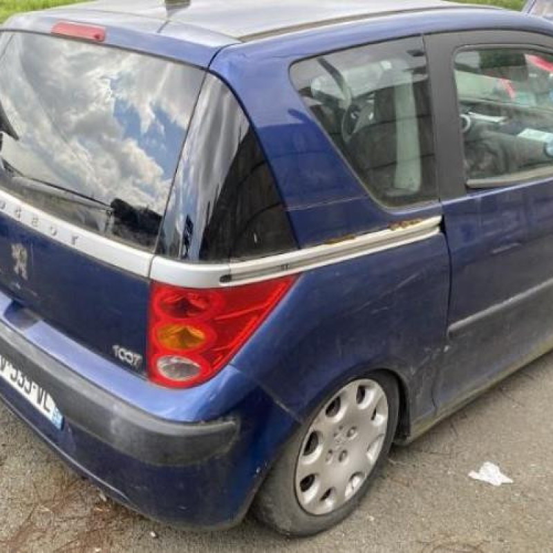 Calandre PEUGEOT 1007 Photo n°9