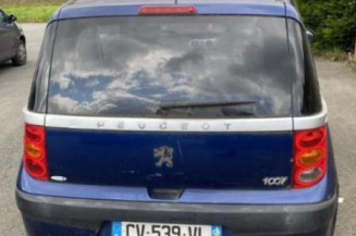 Calandre PEUGEOT 1007