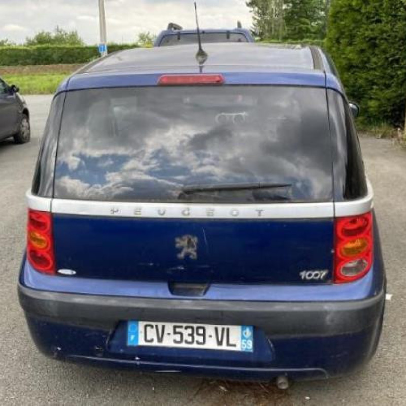 Calandre PEUGEOT 1007 Photo n°10