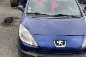 Calandre PEUGEOT 1007