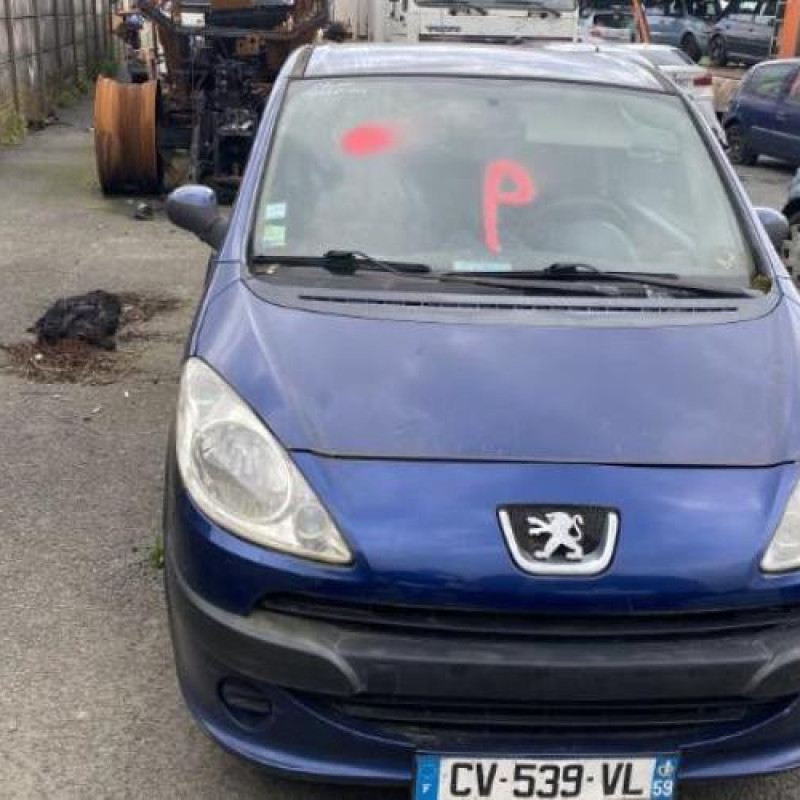 Calandre PEUGEOT 1007 Photo n°13