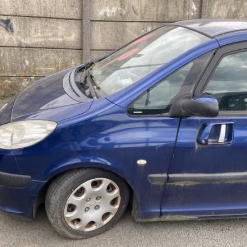 Calandre PEUGEOT 1007 Photo n°14
