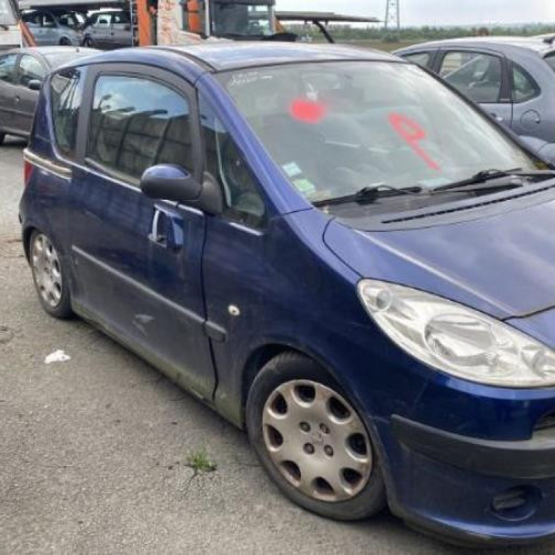 Custode avant droit PEUGEOT 1007 Photo n°5