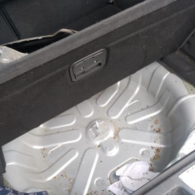 Custode arriere gauche (porte) RENAULT LAGUNA 3 Photo n°10