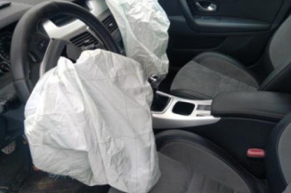 Custode arriere gauche (porte) RENAULT LAGUNA 3