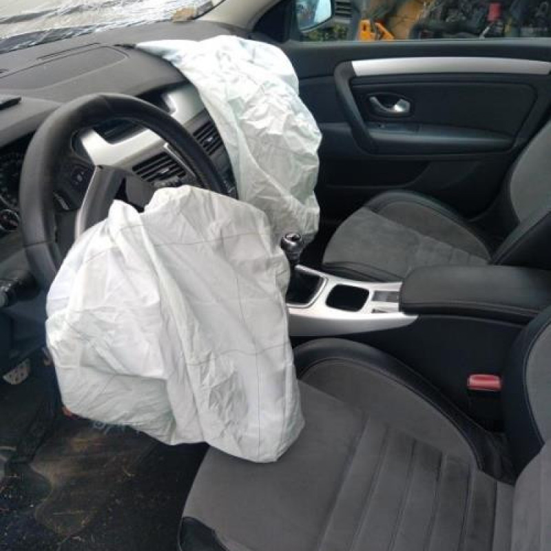 Custode arriere gauche (porte) RENAULT LAGUNA 3 Photo n°11