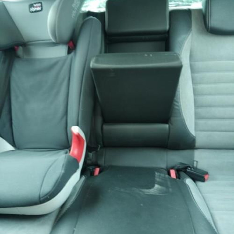 Custode arriere gauche (porte) RENAULT LAGUNA 3 Photo n°12