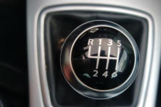 Custode arriere gauche (porte) RENAULT LAGUNA 3