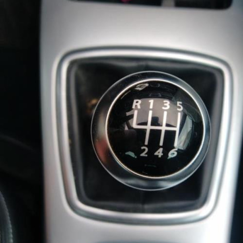 Custode arriere gauche (porte) RENAULT LAGUNA 3 Photo n°13