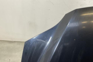 Capot VOLKSWAGEN FOX