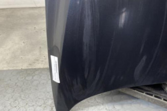 Capot VOLKSWAGEN FOX