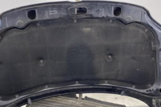 Capot VOLKSWAGEN FOX