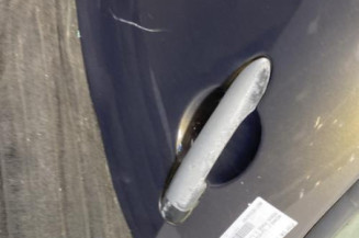 Porte arriere gauche RENAULT MODUS