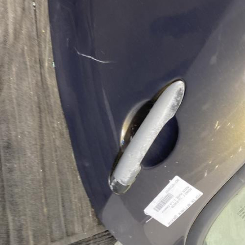 Porte arriere gauche RENAULT MODUS Photo n°2