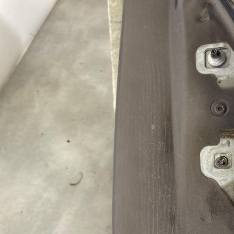 Porte arriere gauche RENAULT MODUS Photo n°3