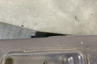 Porte arriere gauche RENAULT MODUS