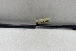 Verin de coffre CITROEN C4 PICASSO 1 Photo n°1