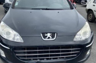 Vitre arriere droit PEUGEOT 407