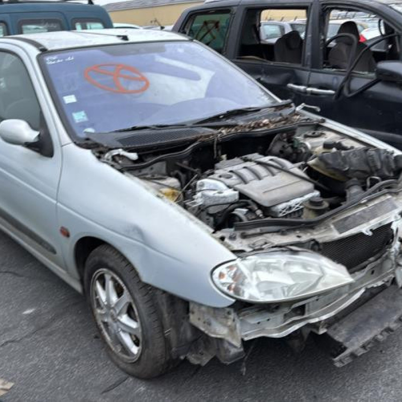 Malle/Hayon arriere RENAULT MEGANE 1 Photo n°16