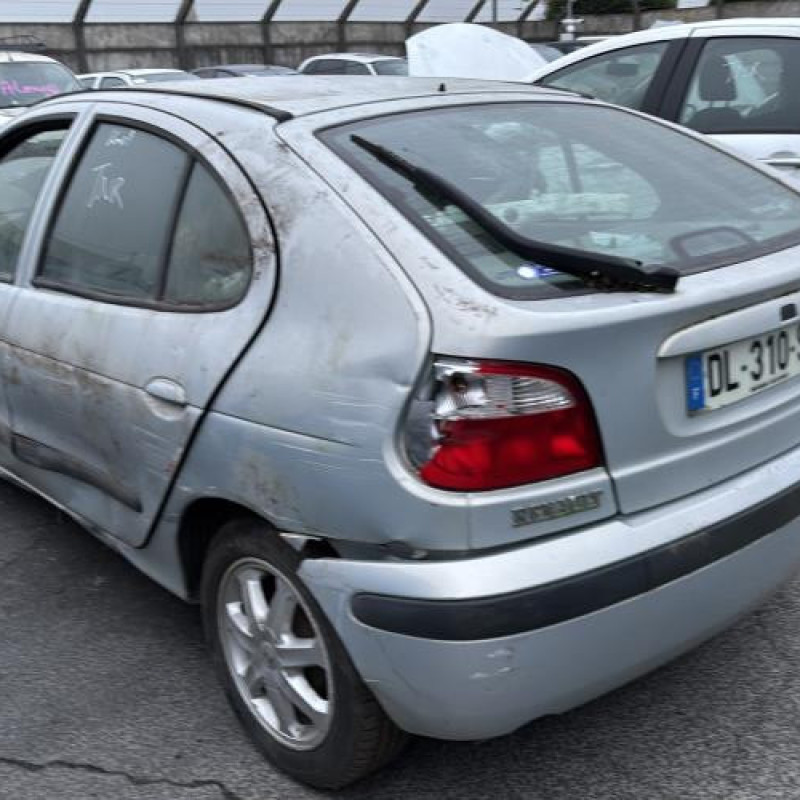 Malle/Hayon arriere RENAULT MEGANE 1 Photo n°18