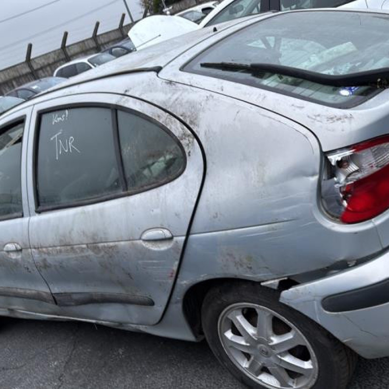Malle/Hayon arriere RENAULT MEGANE 1 Photo n°20