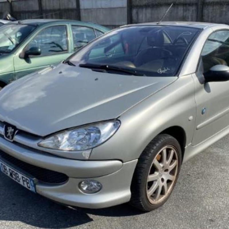 Leve vitre electrique avant gauche PEUGEOT 206 Photo n°11
