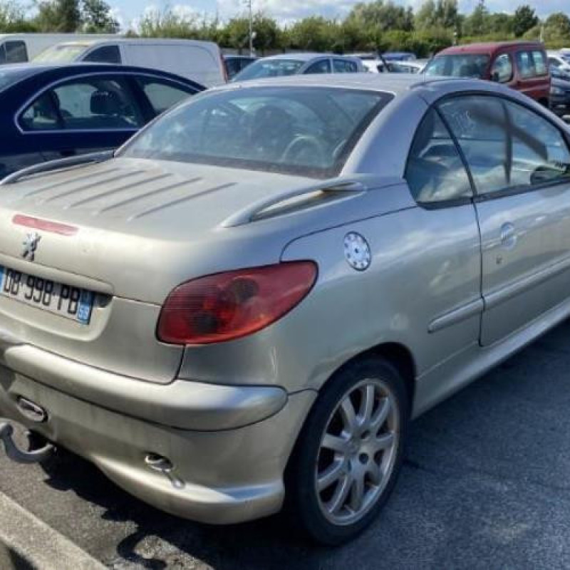 Leve vitre electrique avant gauche PEUGEOT 206 Photo n°13