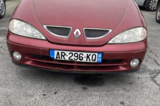 Porte avant gauche RENAULT MEGANE 1